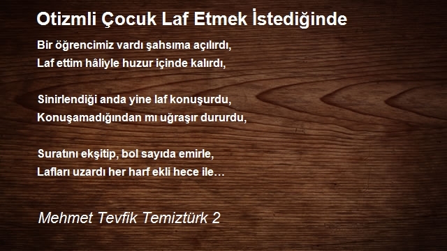 Mehmet Tevfik Temiztürk 2