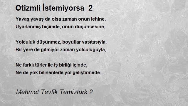 Mehmet Tevfik Temiztürk 2