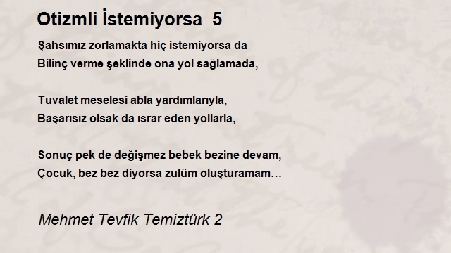 Mehmet Tevfik Temiztürk 2