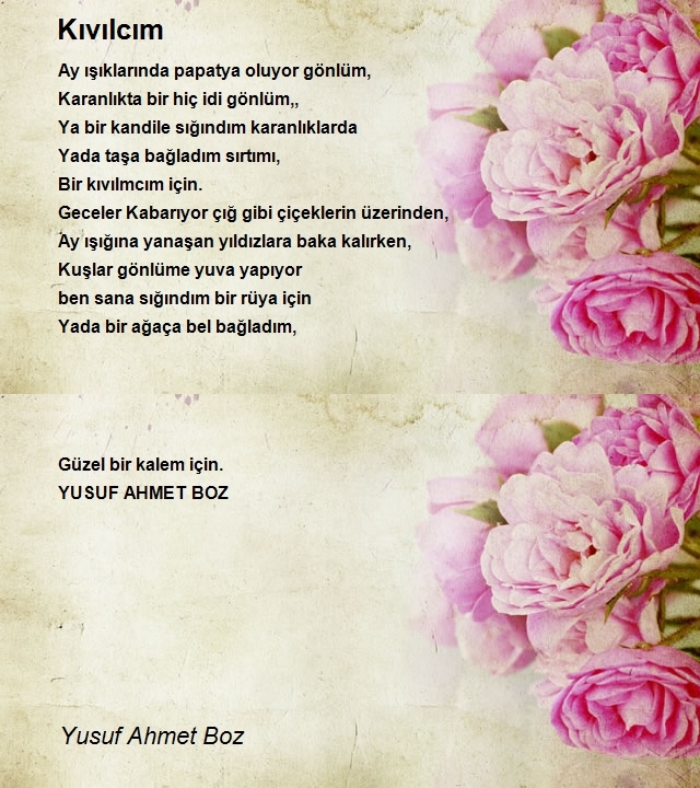 Yusuf Ahmet Boz