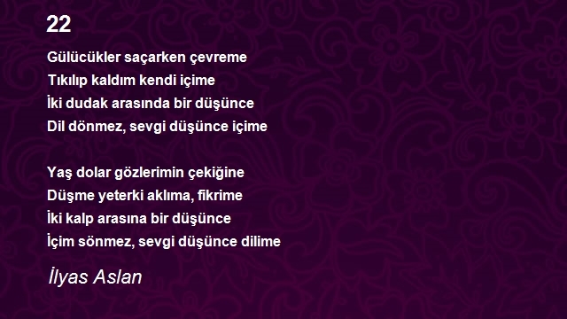 İlyas Aslan