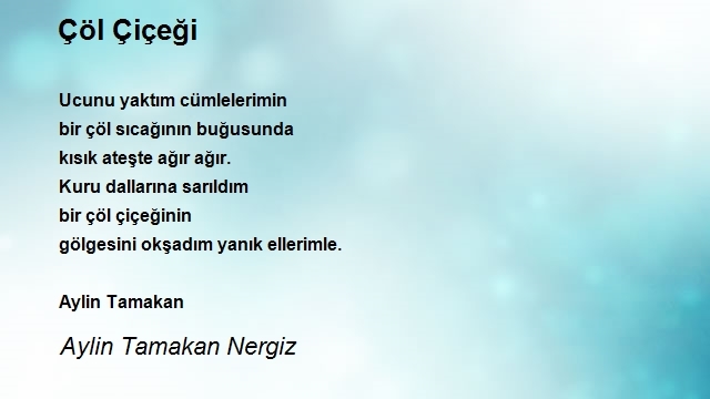 Aylin Tamakan Nergiz