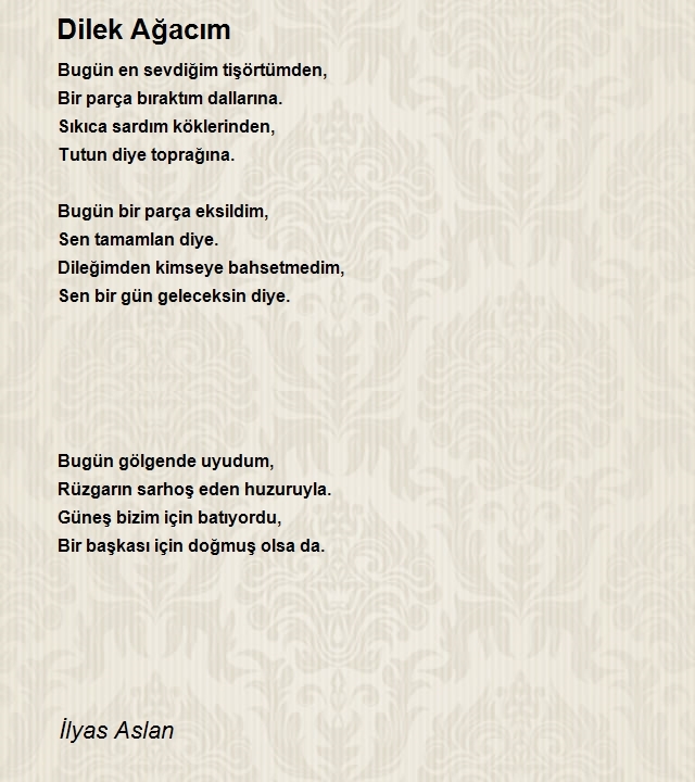 İlyas Aslan