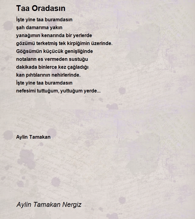 Aylin Tamakan Nergiz