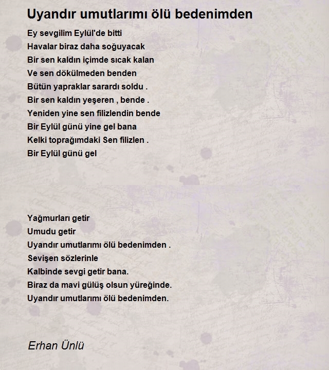 Erhan Ünlü