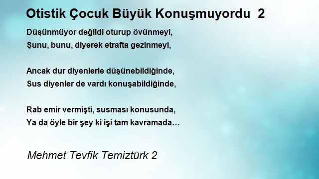 Mehmet Tevfik Temiztürk 2