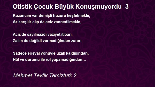 Mehmet Tevfik Temiztürk 2