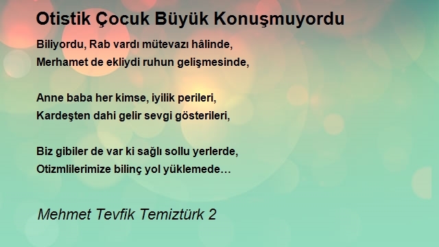 Mehmet Tevfik Temiztürk 2