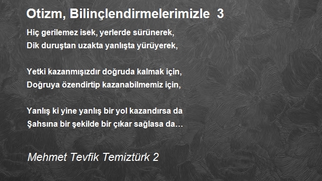 Mehmet Tevfik Temiztürk 2