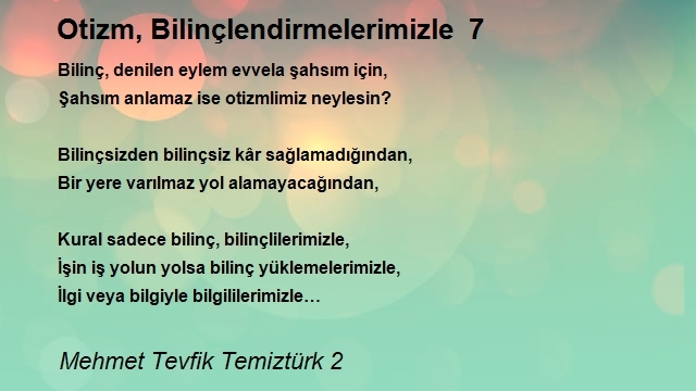 Mehmet Tevfik Temiztürk 2