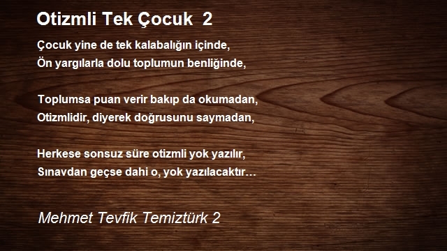 Mehmet Tevfik Temiztürk 2