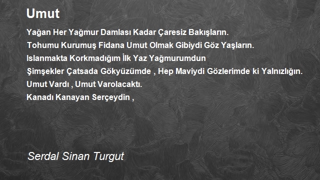 Serdal Sinan Turgut