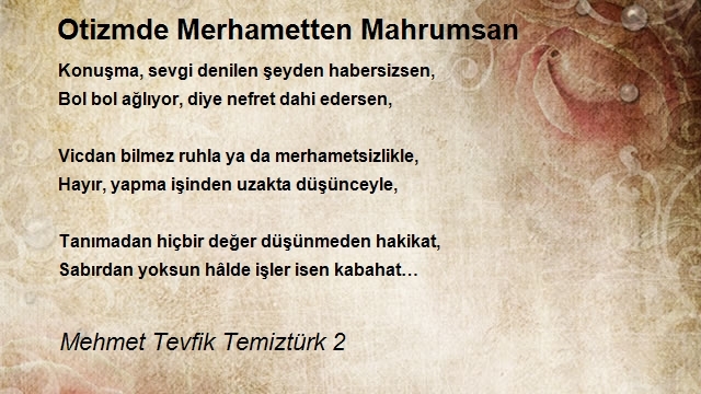 Mehmet Tevfik Temiztürk 2