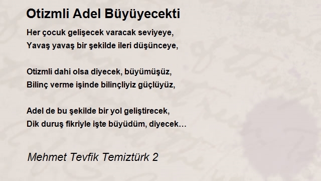 Mehmet Tevfik Temiztürk 2