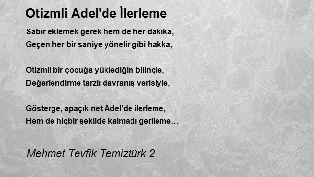 Mehmet Tevfik Temiztürk 2