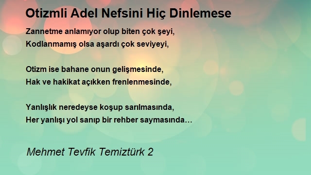 Mehmet Tevfik Temiztürk 2