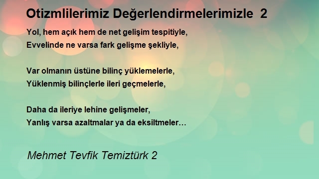 Mehmet Tevfik Temiztürk 2