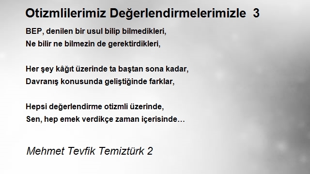 Mehmet Tevfik Temiztürk 2