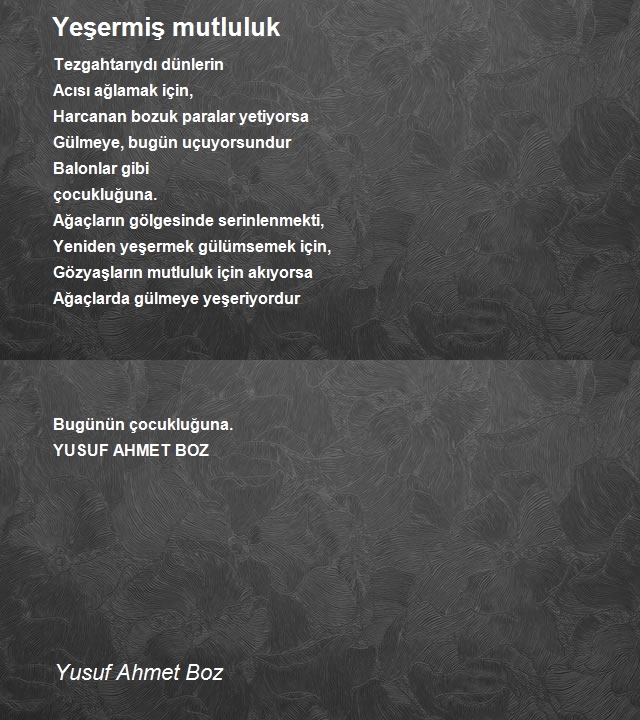 Yusuf Ahmet Boz