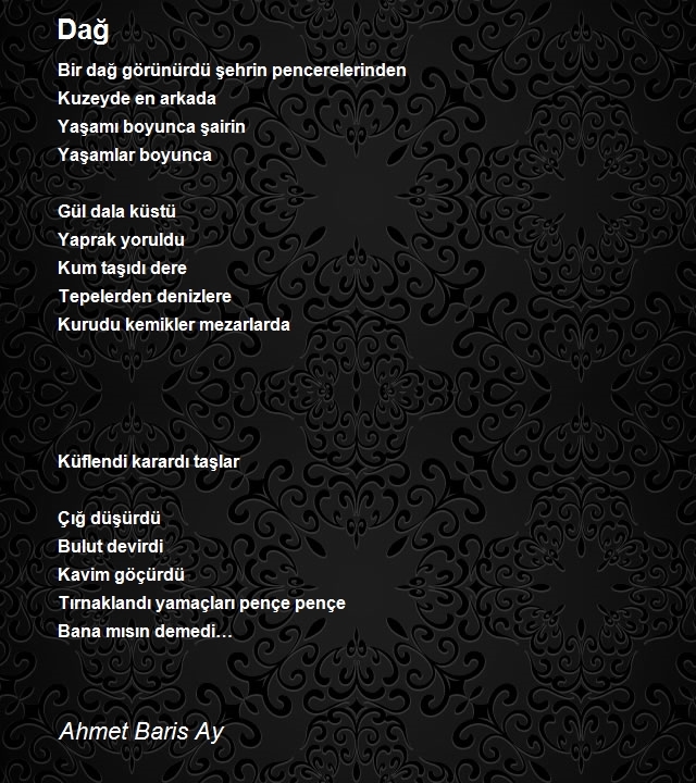 Ahmet Baris Ay