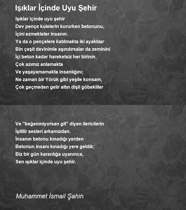 Muhammet İsmail Şahin