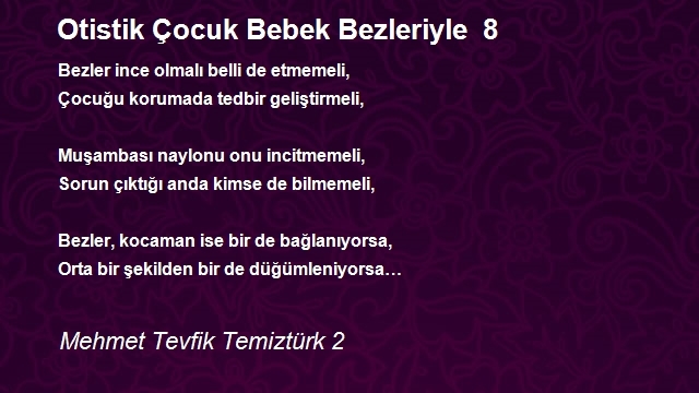 Mehmet Tevfik Temiztürk 2