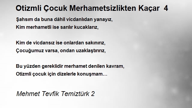 Mehmet Tevfik Temiztürk 2