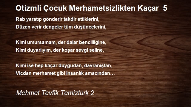 Mehmet Tevfik Temiztürk 2