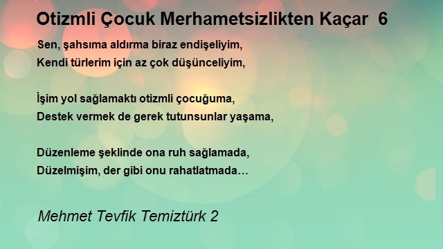 Mehmet Tevfik Temiztürk 2