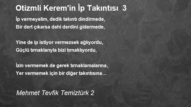 Mehmet Tevfik Temiztürk 2