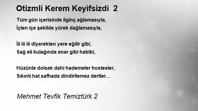 Mehmet Tevfik Temiztürk 2