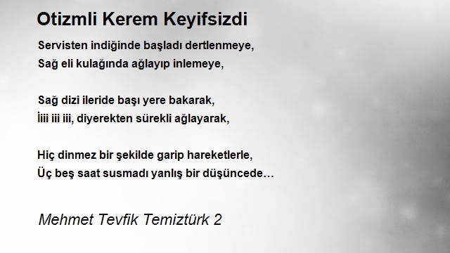 Mehmet Tevfik Temiztürk 2