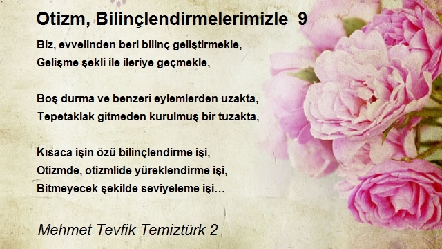 Mehmet Tevfik Temiztürk 2