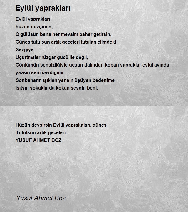 Yusuf Ahmet Boz