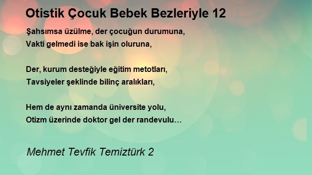 Mehmet Tevfik Temiztürk 2