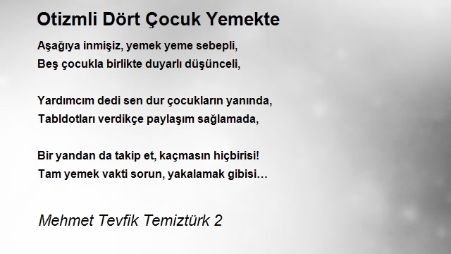 Mehmet Tevfik Temiztürk 2