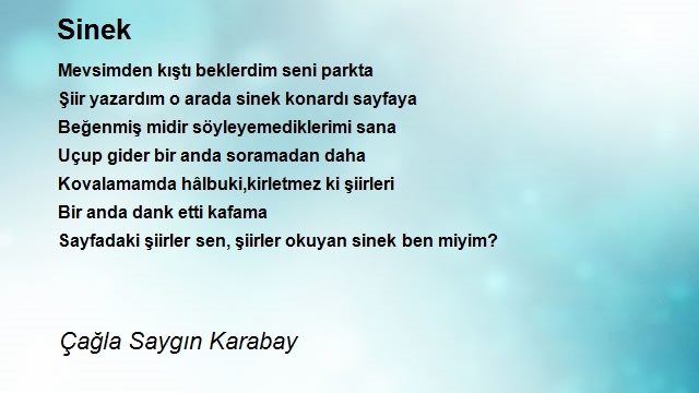 Çağla Saygın Karabay