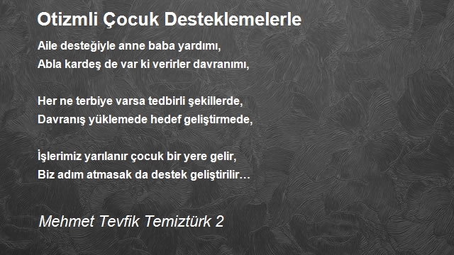 Mehmet Tevfik Temiztürk 2