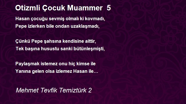 Mehmet Tevfik Temiztürk 2