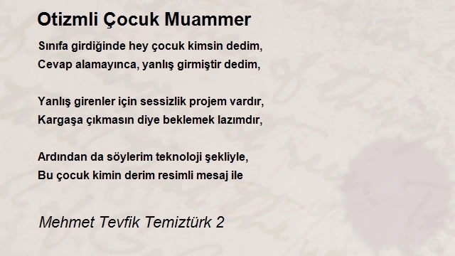 Mehmet Tevfik Temiztürk 2