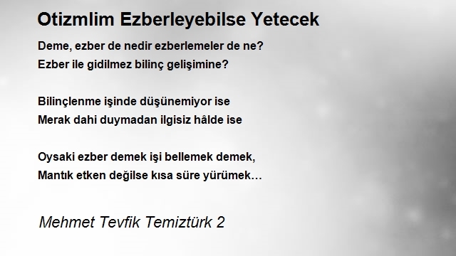 Mehmet Tevfik Temiztürk 2