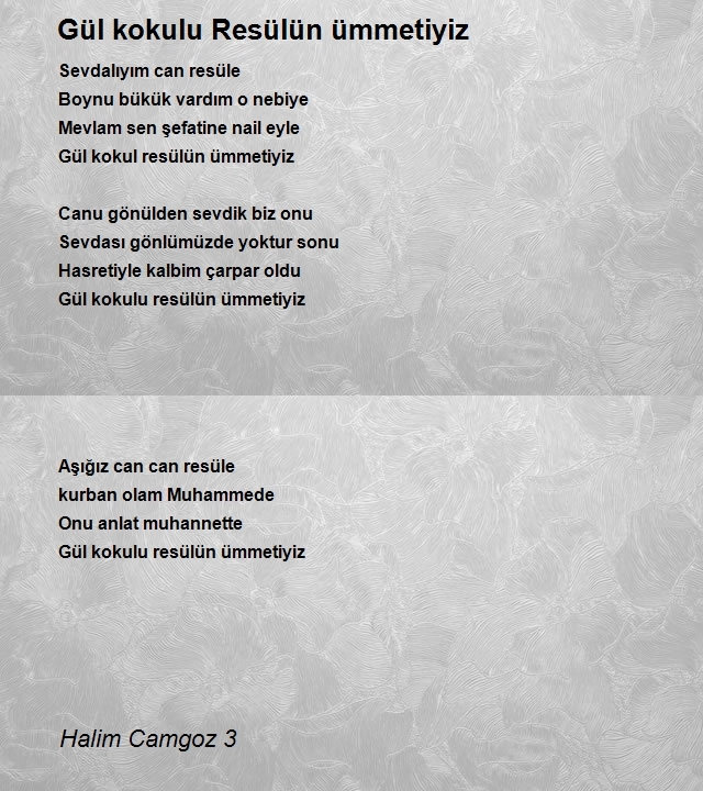 Halim Camgoz 3