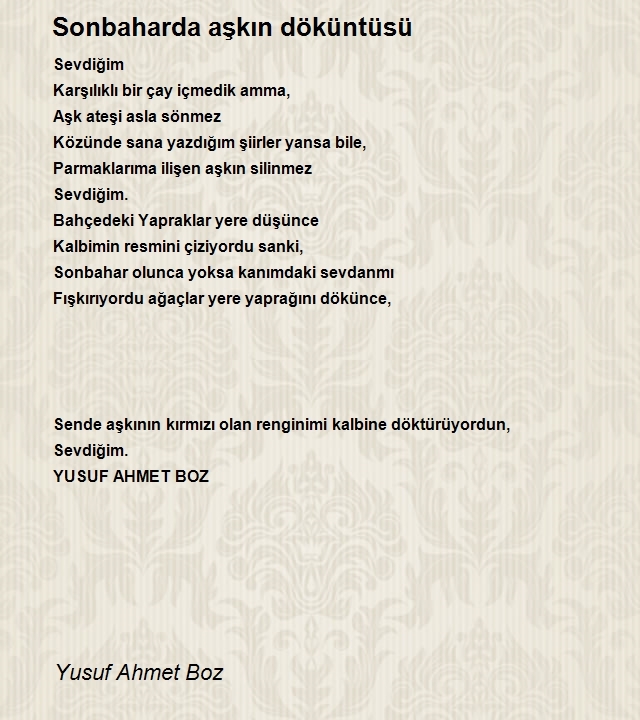 Yusuf Ahmet Boz