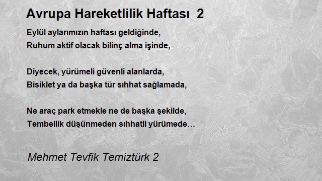 Mehmet Tevfik Temiztürk 2