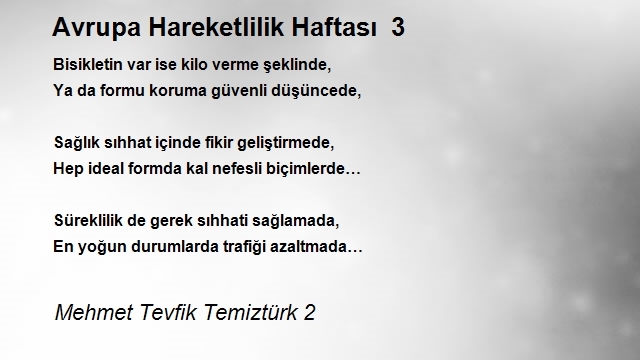 Mehmet Tevfik Temiztürk 2