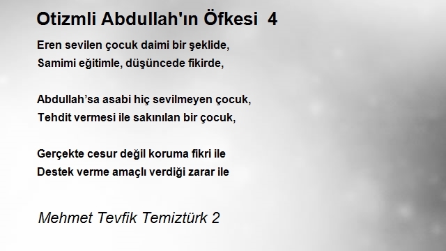 Mehmet Tevfik Temiztürk 2