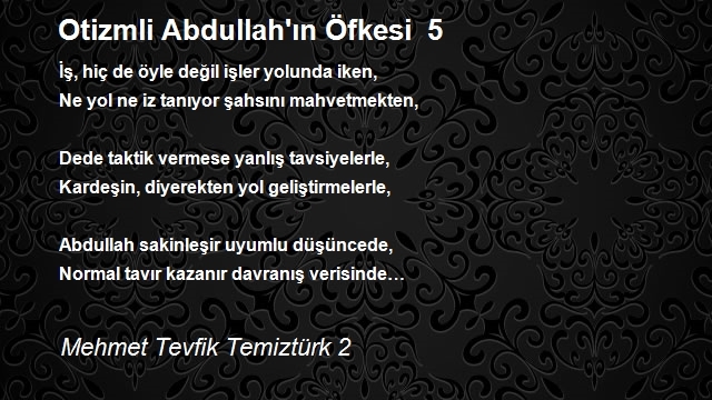 Mehmet Tevfik Temiztürk 2