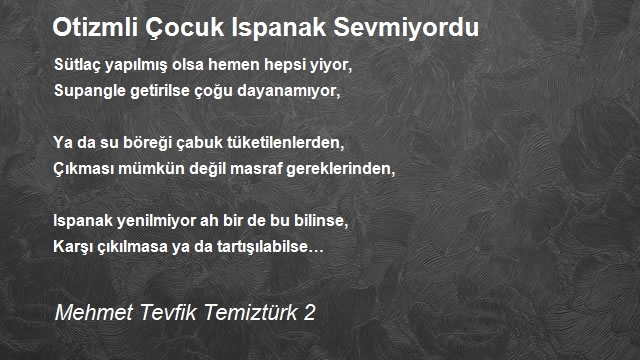 Mehmet Tevfik Temiztürk 2