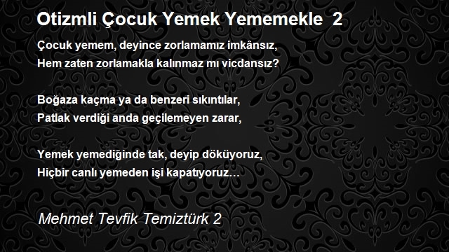 Mehmet Tevfik Temiztürk 2