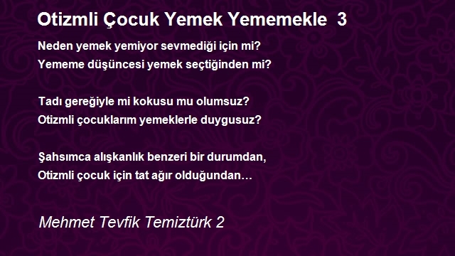 Mehmet Tevfik Temiztürk 2